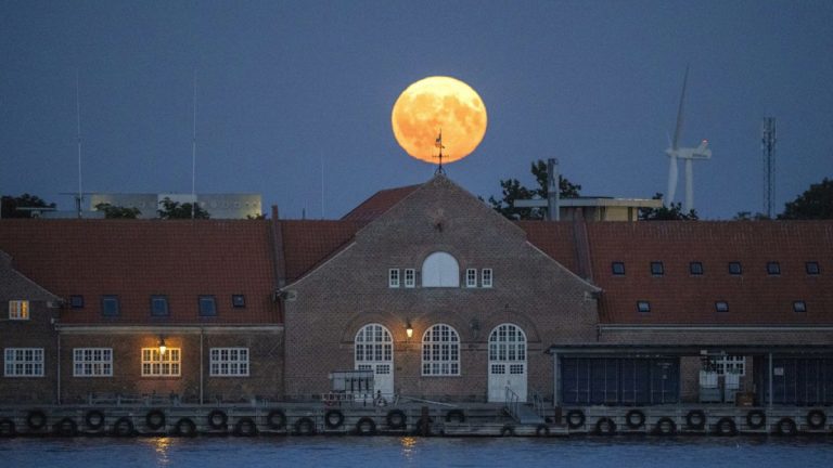 Güney Avrupalı ​​turistler aşırı sıcaktan kaçmak için Danimarka’ya akın ediyor