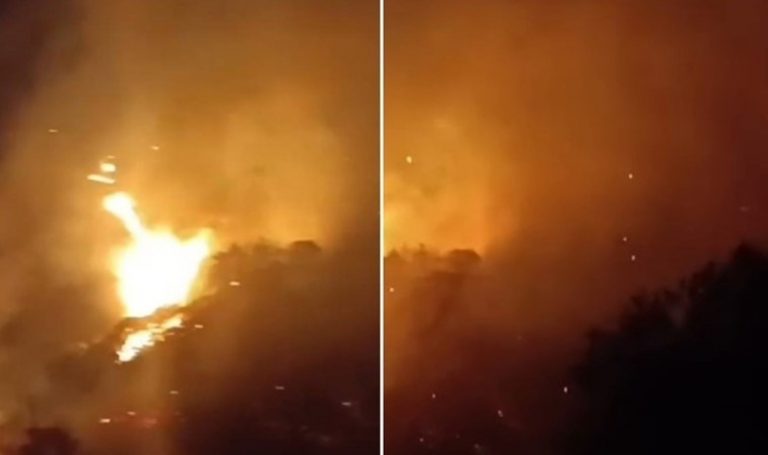 Germencik’te yangın! – Türkiye’den son dakika haberleri