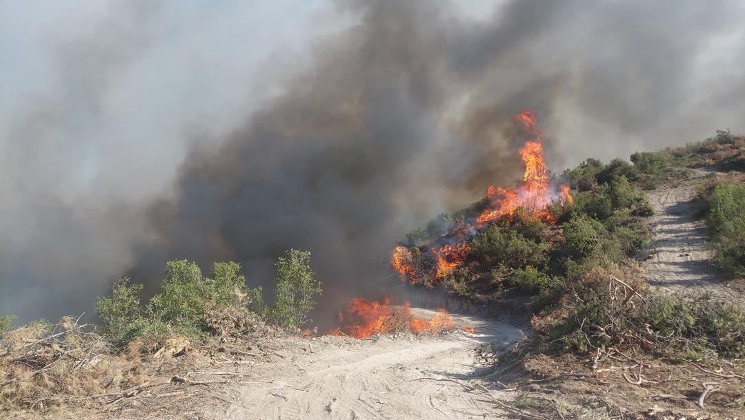 Izmir, Hatay ve Manisa Orman Ateşinde ... Takımlar yoğun bir şekilde savaşıyor! Seferihisar Belediye Başkanı 5'ten Acil Destek