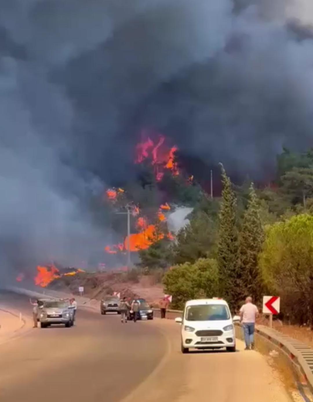 Son Dakika | Çanakkale'de yine orman ateşi! Sigara gökyüzünü kapladı, alevler her yerde ortaya çıkıyor 2