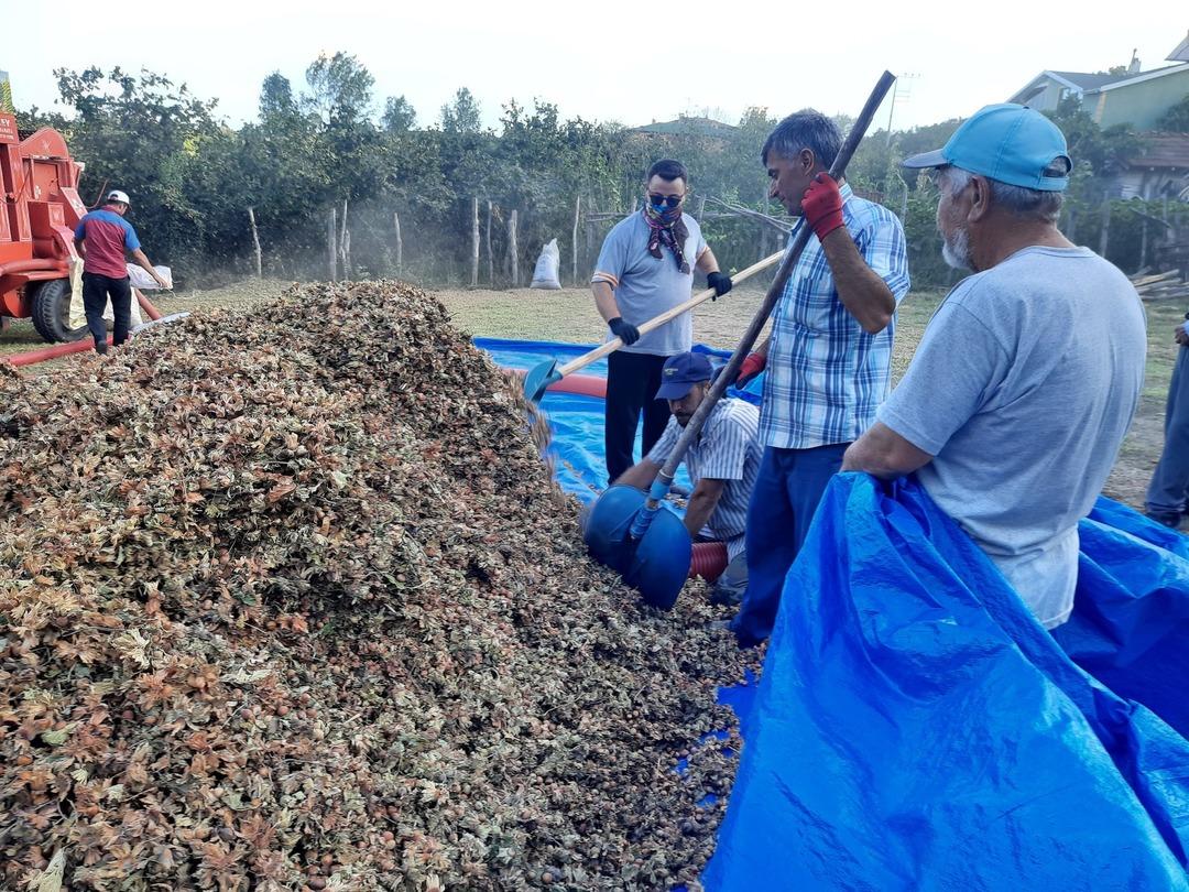 Koleksiyon bu ay başladı! Hazel Gizli Tehlike: 